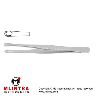 Russian Modell Dissecting Forceps Stainless Steel, 20 cm - 8"